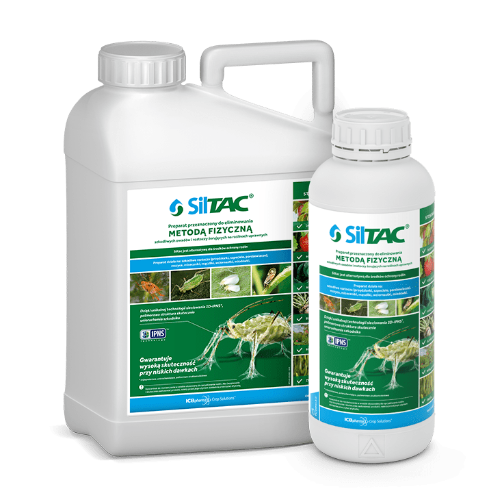 Siltac - zdjęcie produktu