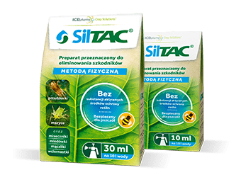Siltac - zdjęcie produktu