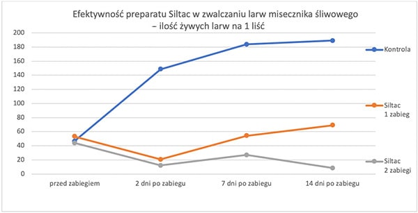 Wykres