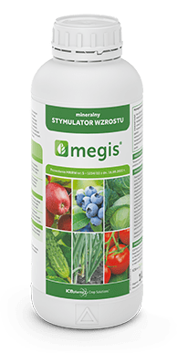 Megis - zdjęcie produktu